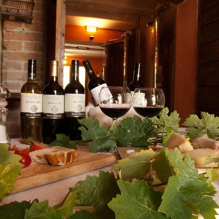 Agriturismo Pieve Sprenna ブオンコンヴェント エクステリア 写真