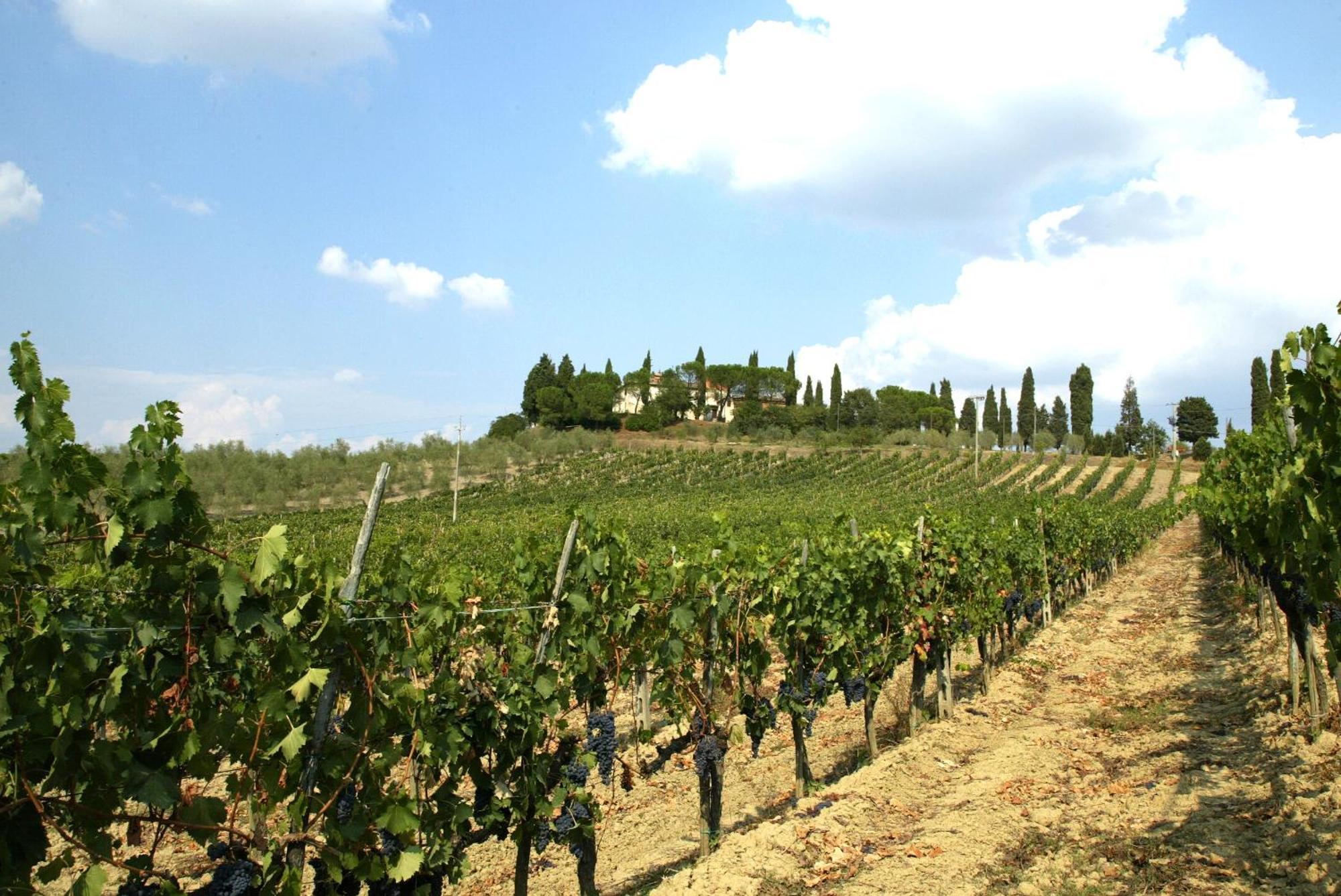 Agriturismo Pieve Sprenna ブオンコンヴェント エクステリア 写真