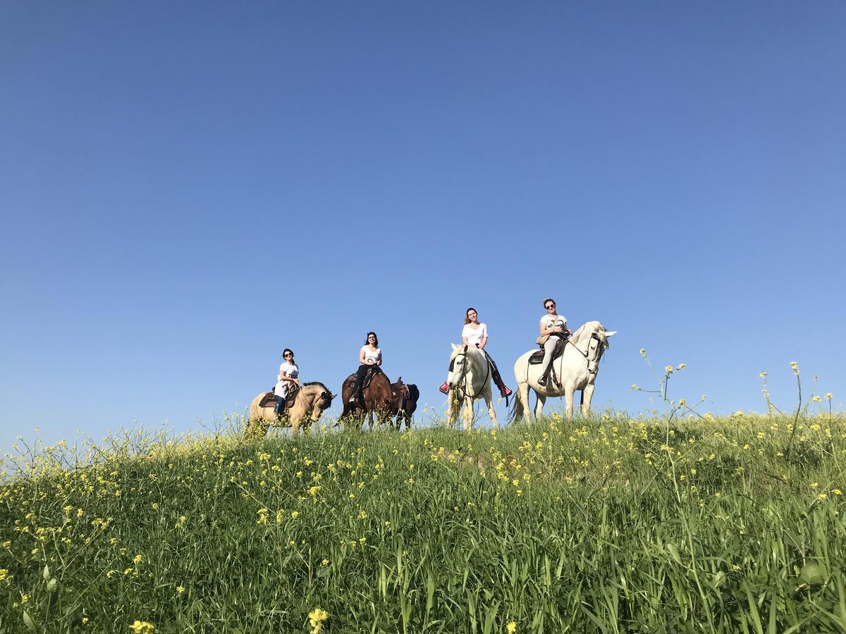Agriturismo Pieve Sprenna ブオンコンヴェント エクステリア 写真