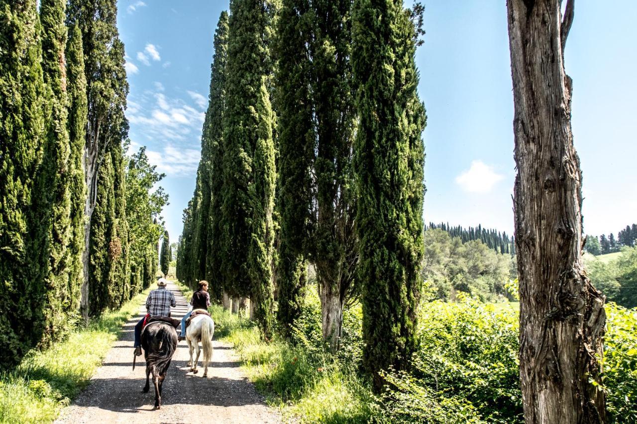 Agriturismo Pieve Sprenna ブオンコンヴェント エクステリア 写真