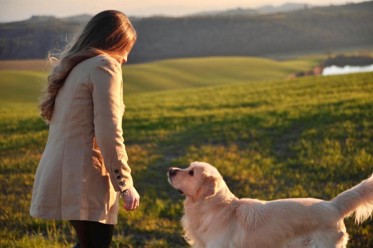 Agriturismo Pieve Sprenna ブオンコンヴェント エクステリア 写真